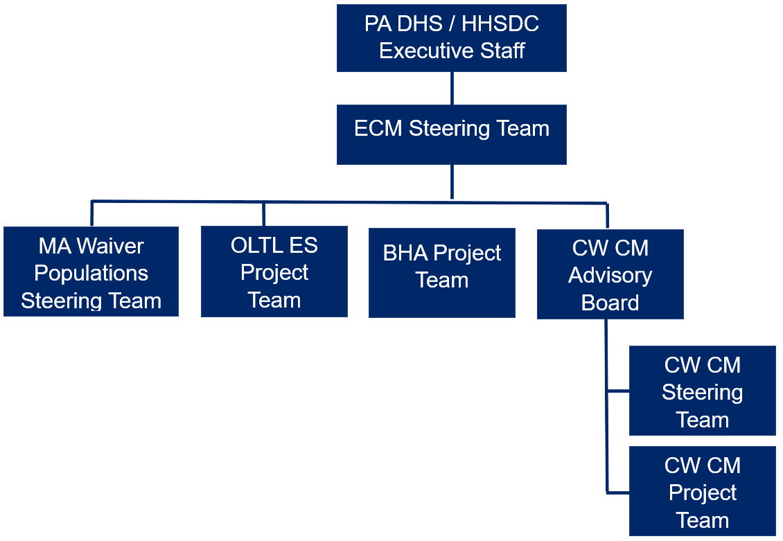 ECM Governance Org Chart